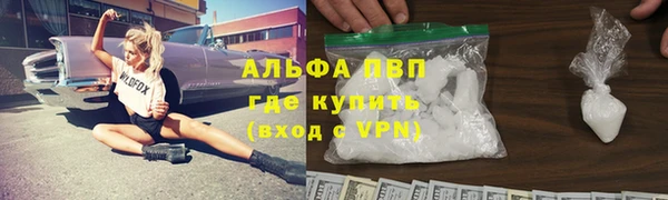 гашик Осташков