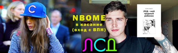 гашик Осташков