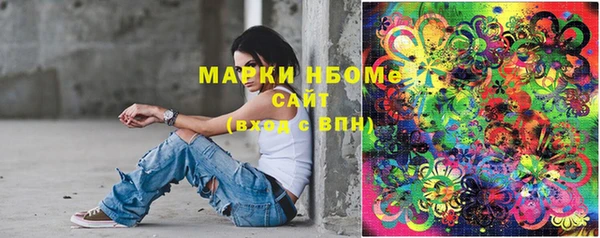 гашик Осташков