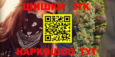 прущие крисы Камышлов