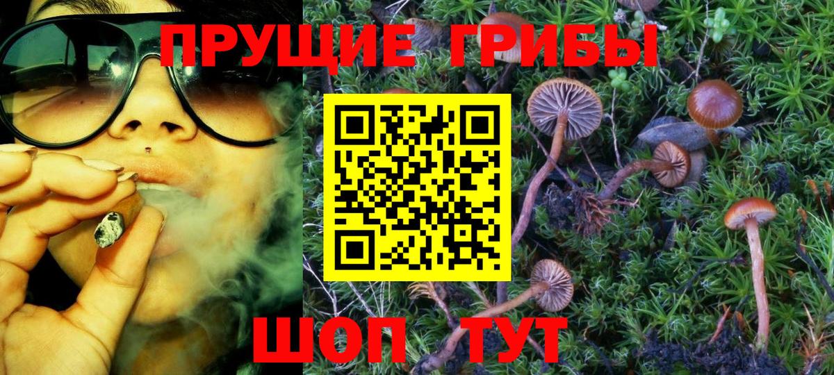 Галлюциногенные грибы MAGIC MUSHROOMS  Северобайкальск 