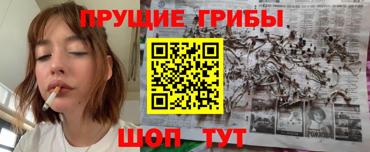 Псилоцибиновые грибы GOLDEN TEACHER Северобайкальск