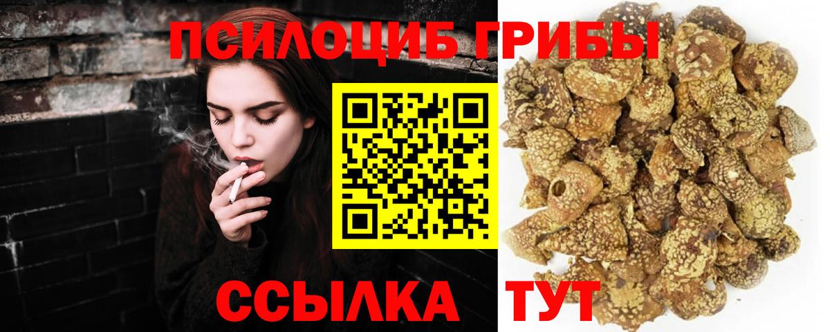 Галлюциногенные грибы прущие грибы  Вход с VPN  купить  сайты  Северобайкальск 