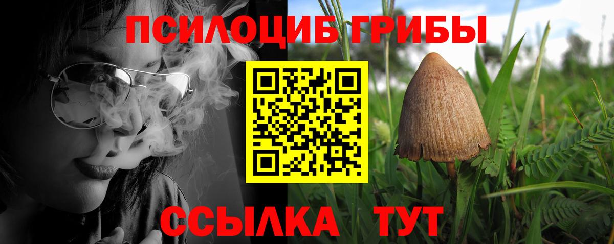 Галлюциногенные грибы мухоморы Северобайкальск